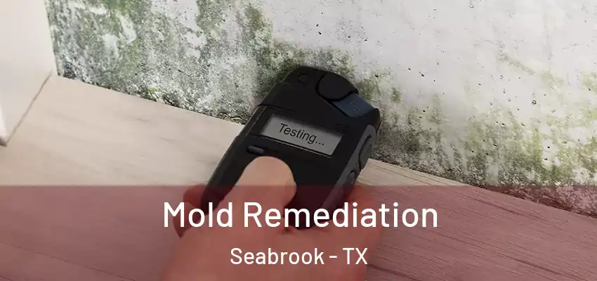  Mold Remediation Seabrook - TX