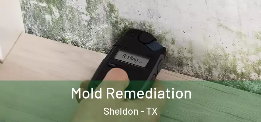  Mold Remediation Sheldon - TX