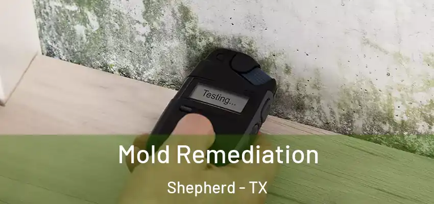  Mold Remediation Shepherd - TX
