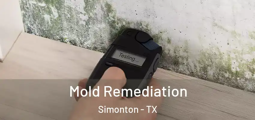  Mold Remediation Simonton - TX
