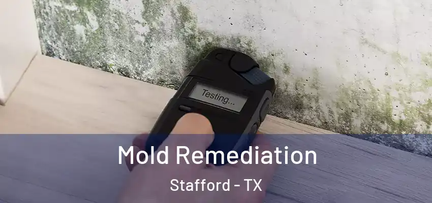  Mold Remediation Stafford - TX