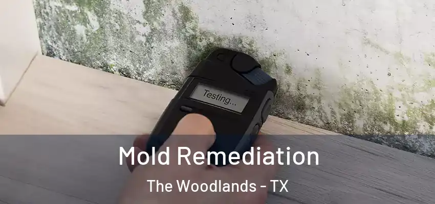  Mold Remediation The Woodlands - TX