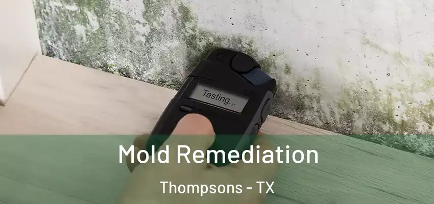  Mold Remediation Thompsons - TX