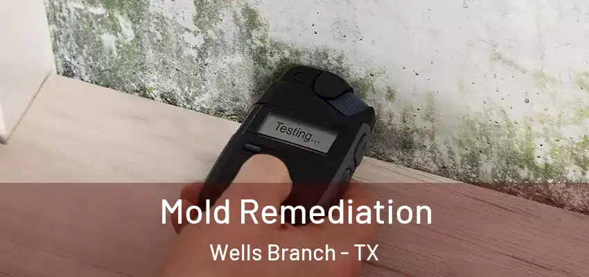  Mold Remediation Wells Branch - TX