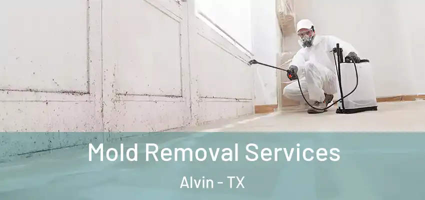  Mold Removal Services Alvin - TX