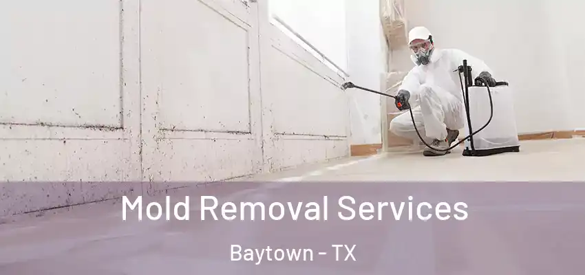  Mold Removal Services Baytown - TX