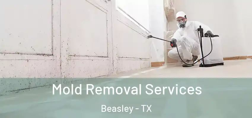  Mold Removal Services Beasley - TX