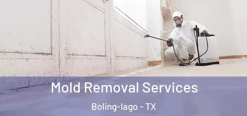  Mold Removal Services Boling-Iago - TX
