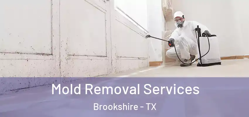  Mold Removal Services Brookshire - TX