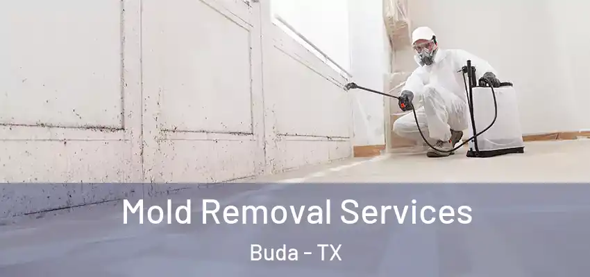  Mold Removal Services Buda - TX
