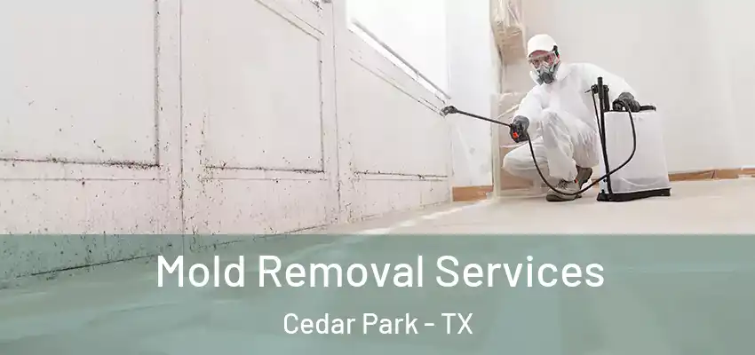  Mold Removal Services Cedar Park - TX