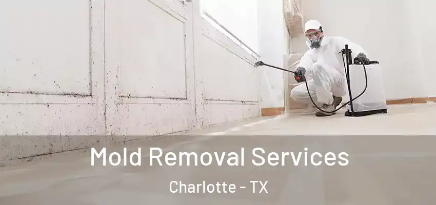  Mold Removal Services Charlotte - TX