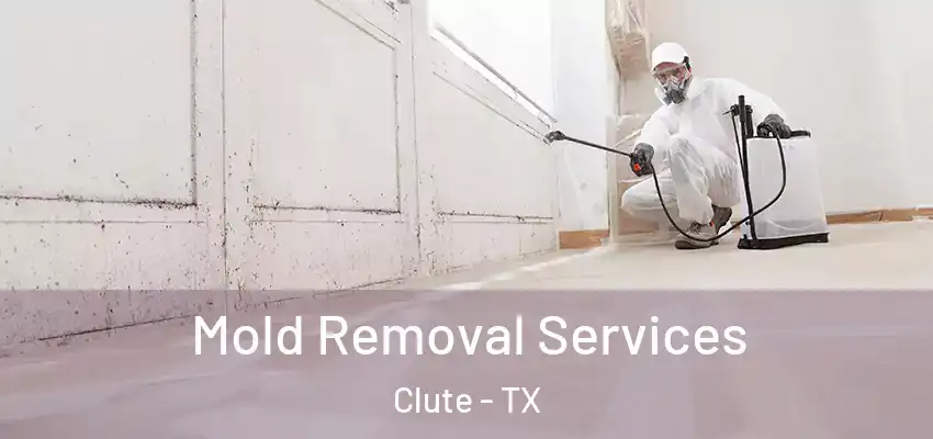  Mold Removal Services Clute - TX