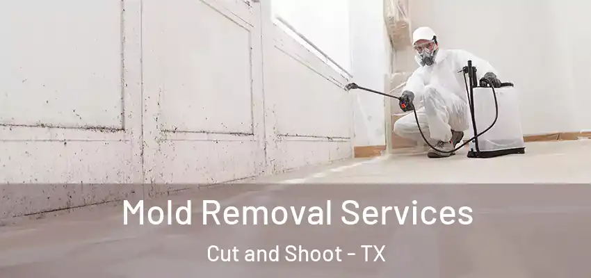  Mold Removal Services Cut and Shoot - TX