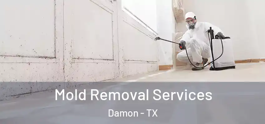  Mold Removal Services Damon - TX