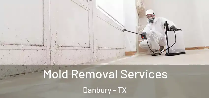  Mold Removal Services Danbury - TX
