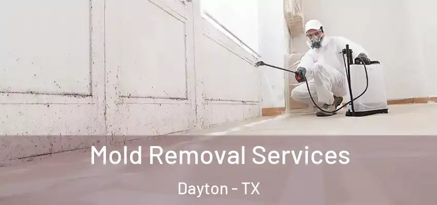  Mold Removal Services Dayton - TX