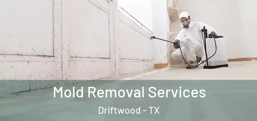  Mold Removal Services Driftwood - TX