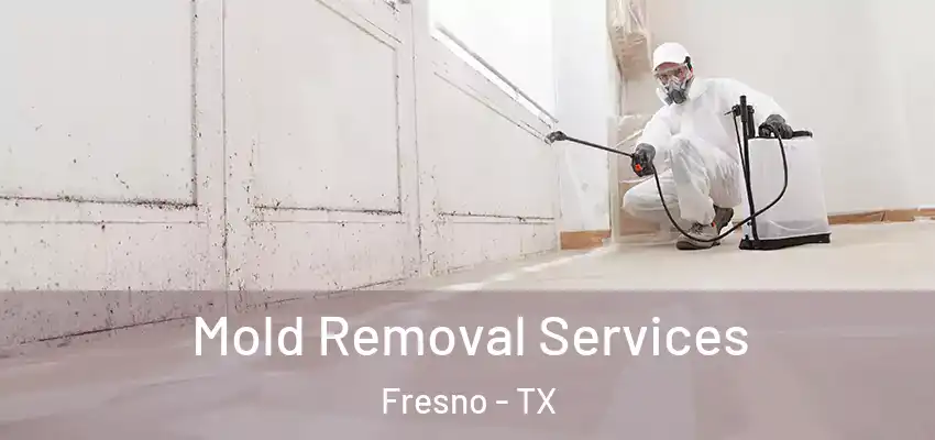  Mold Removal Services Fresno - TX