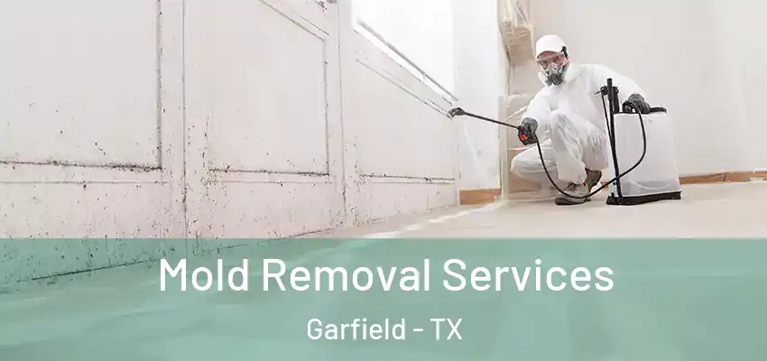  Mold Removal Services Garfield - TX