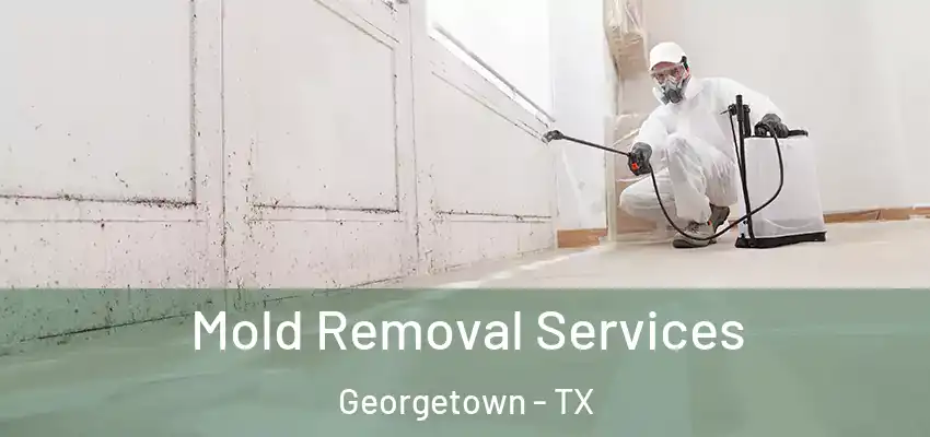  Mold Removal Services Georgetown - TX