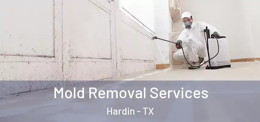  Mold Removal Services Hardin - TX