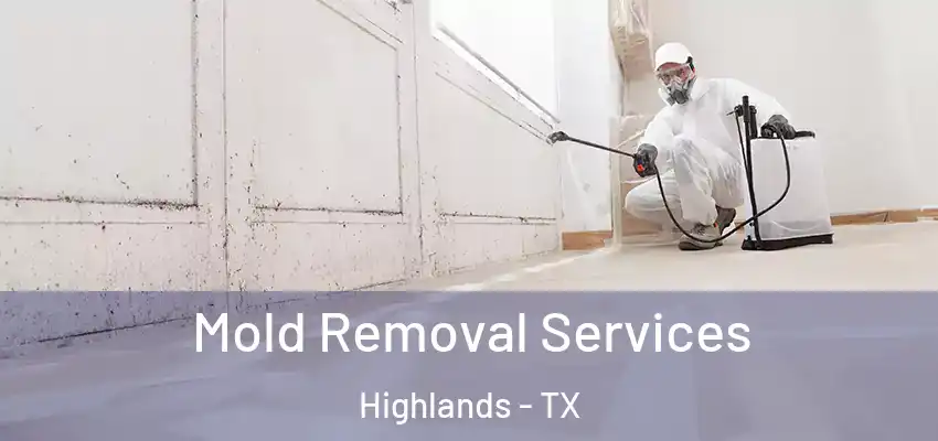  Mold Removal Services Highlands - TX