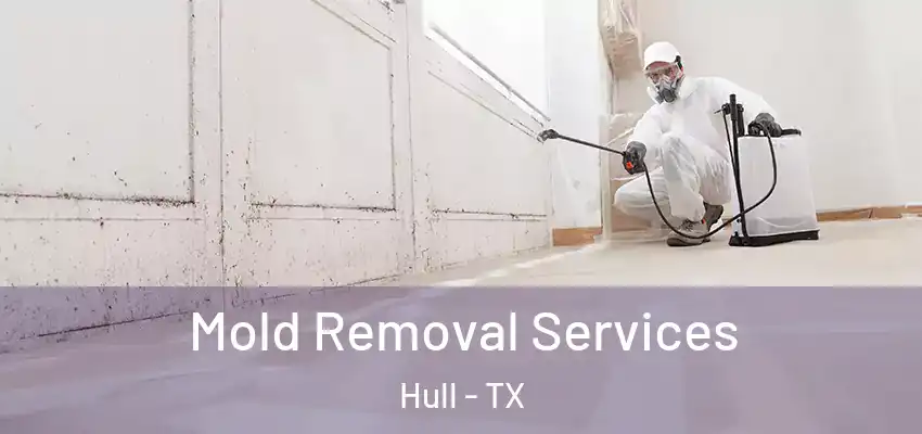  Mold Removal Services Hull - TX