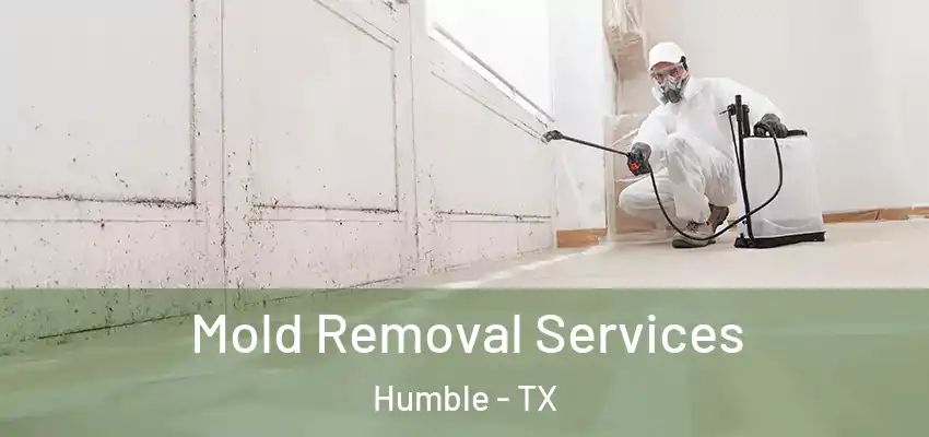  Mold Removal Services Humble - TX