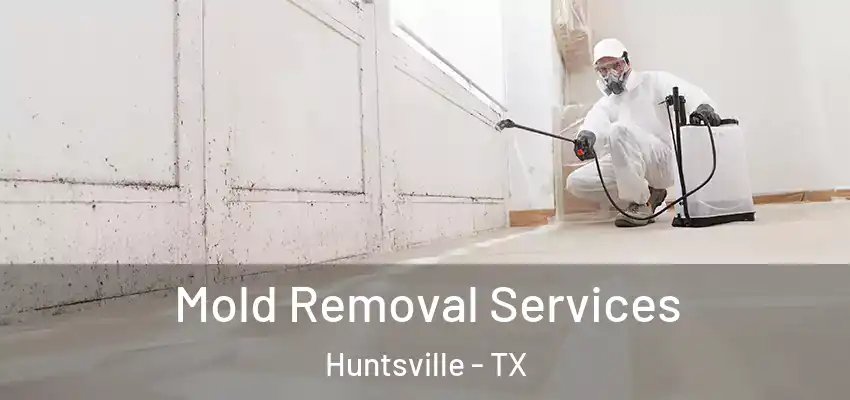  Mold Removal Services Huntsville - TX