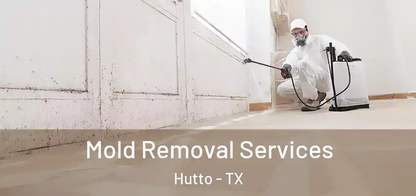  Mold Removal Services Hutto - TX