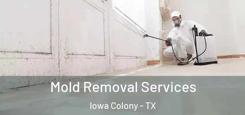  Mold Removal Services Iowa Colony - TX