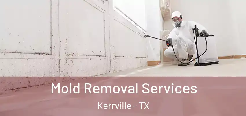  Mold Removal Services Kerrville - TX
