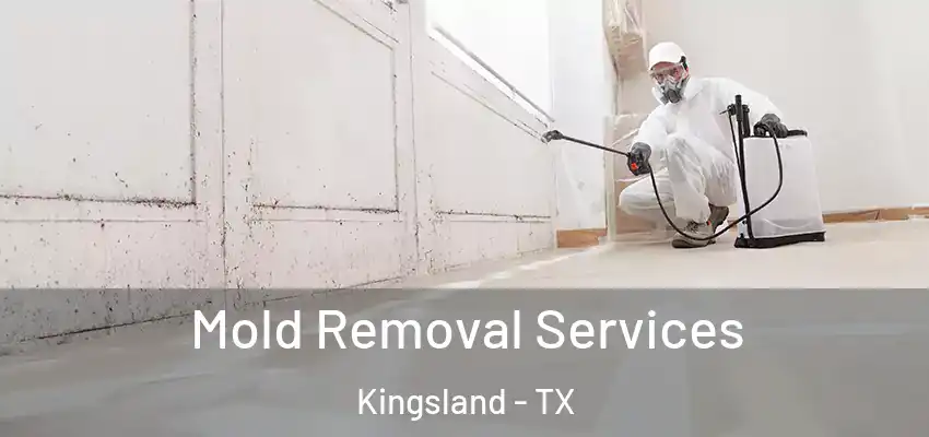  Mold Removal Services Kingsland - TX