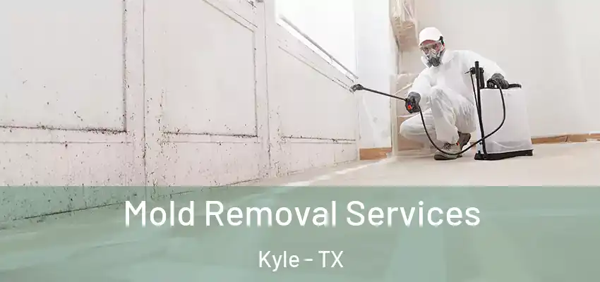  Mold Removal Services Kyle - TX