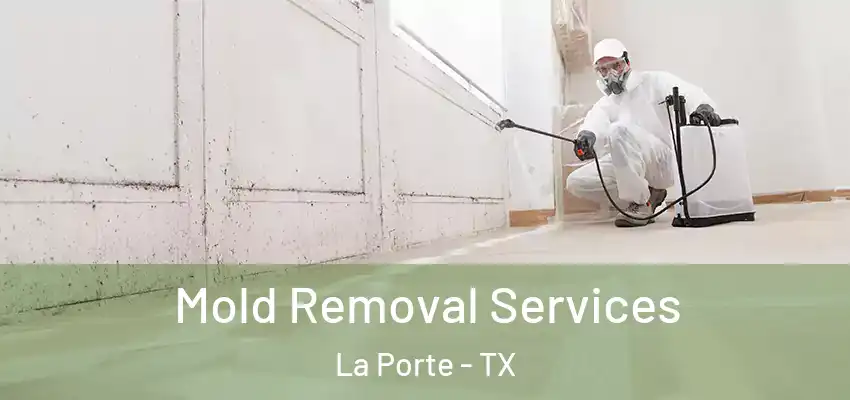  Mold Removal Services La Porte - TX