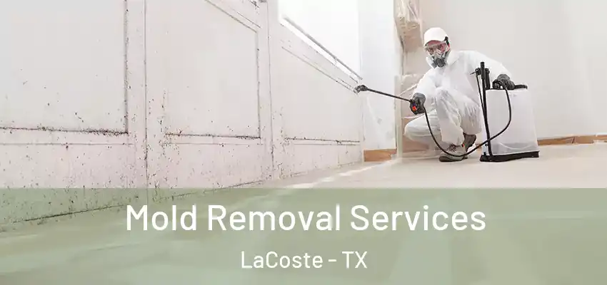  Mold Removal Services LaCoste - TX