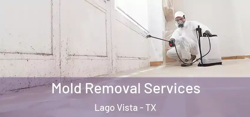  Mold Removal Services Lago Vista - TX