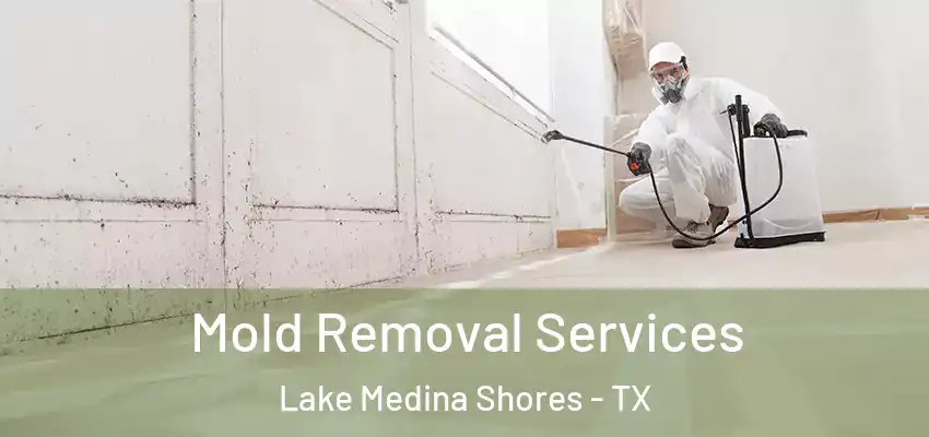  Mold Removal Services Lake Medina Shores - TX