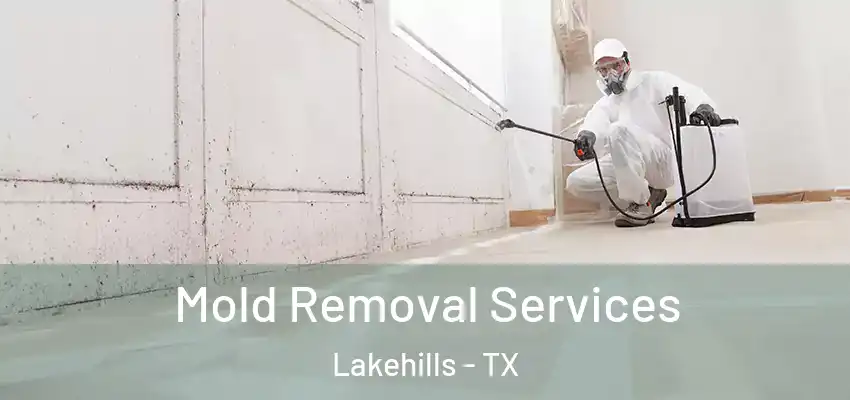  Mold Removal Services Lakehills - TX