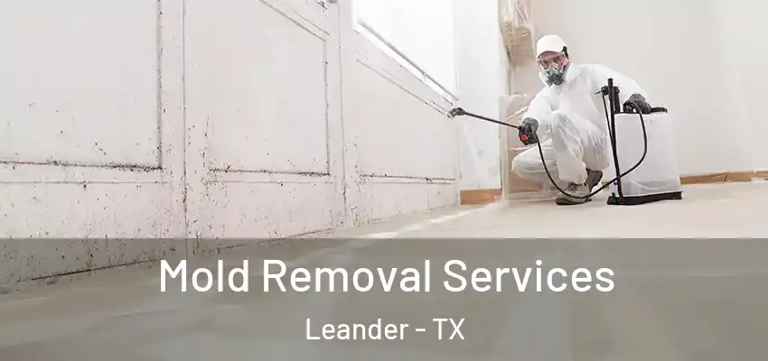 Mold Removal Services Leander - TX