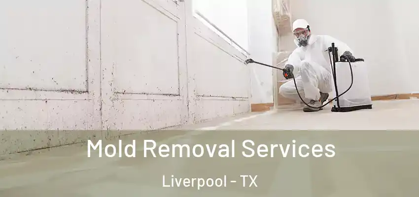  Mold Removal Services Liverpool - TX
