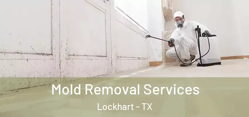  Mold Removal Services Lockhart - TX