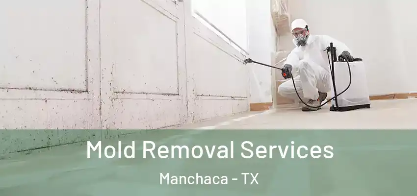  Mold Removal Services Manchaca - TX