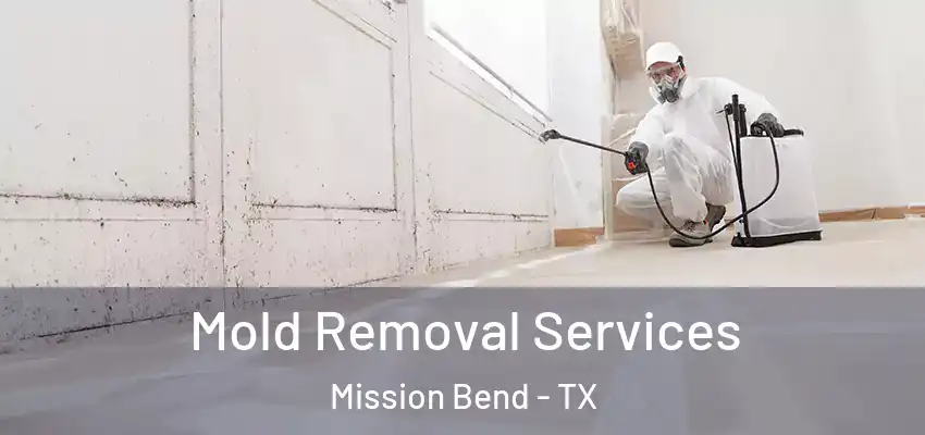  Mold Removal Services Mission Bend - TX