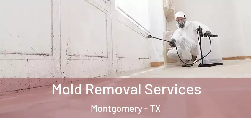  Mold Removal Services Montgomery - TX