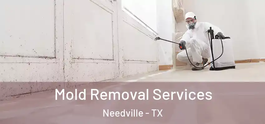  Mold Removal Services Needville - TX