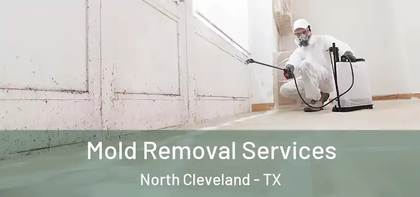  Mold Removal Services North Cleveland - TX
