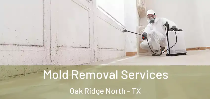  Mold Removal Services Oak Ridge North - TX