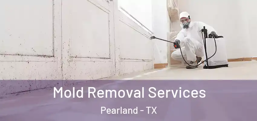  Mold Removal Services Pearland - TX